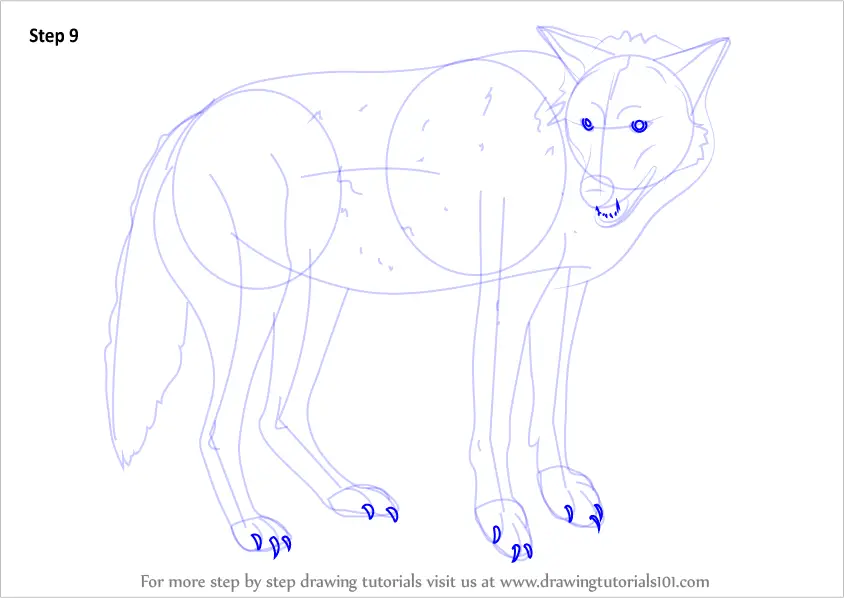 How to Draw a Timber Wolf (Wild Animals) Step by Step ...