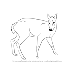 How to Draw a Tufted Deer