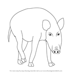 How to Draw a Wild Boar