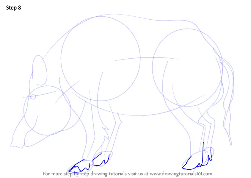 How To Draw A Wild Boar (Wild Animals) Step By Step ...