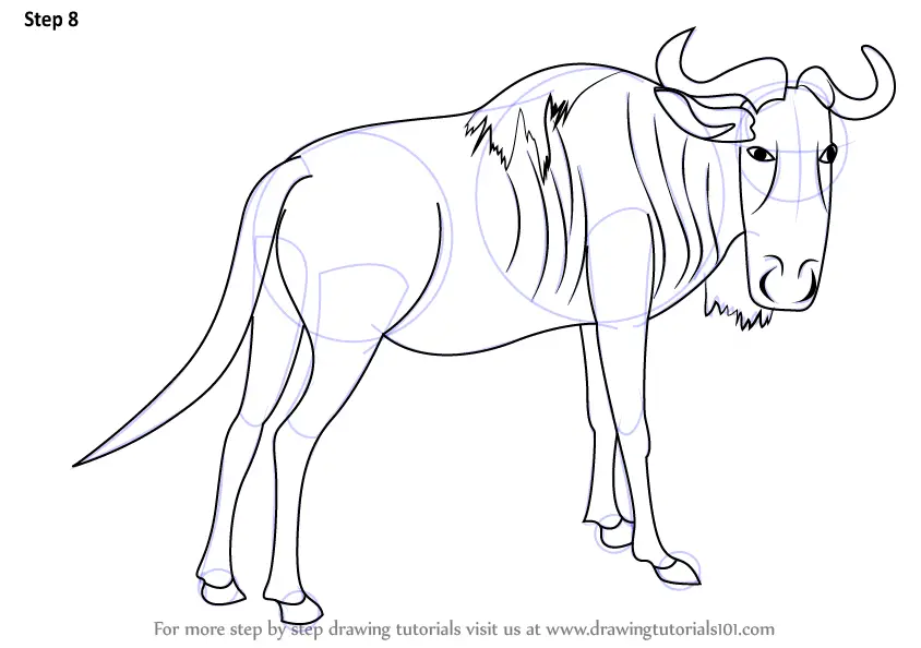 How to Draw a Wildebeest (Wild Animals) Step by Step