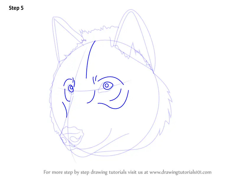 How to Draw a Wolf Head (Wild Animals) Step by Step ...