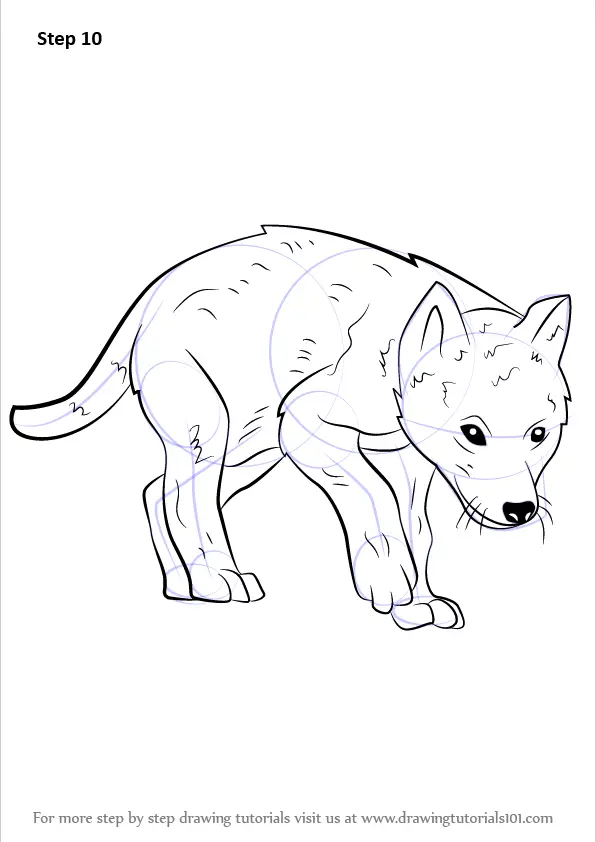 how to draw a cute wolf pup easy