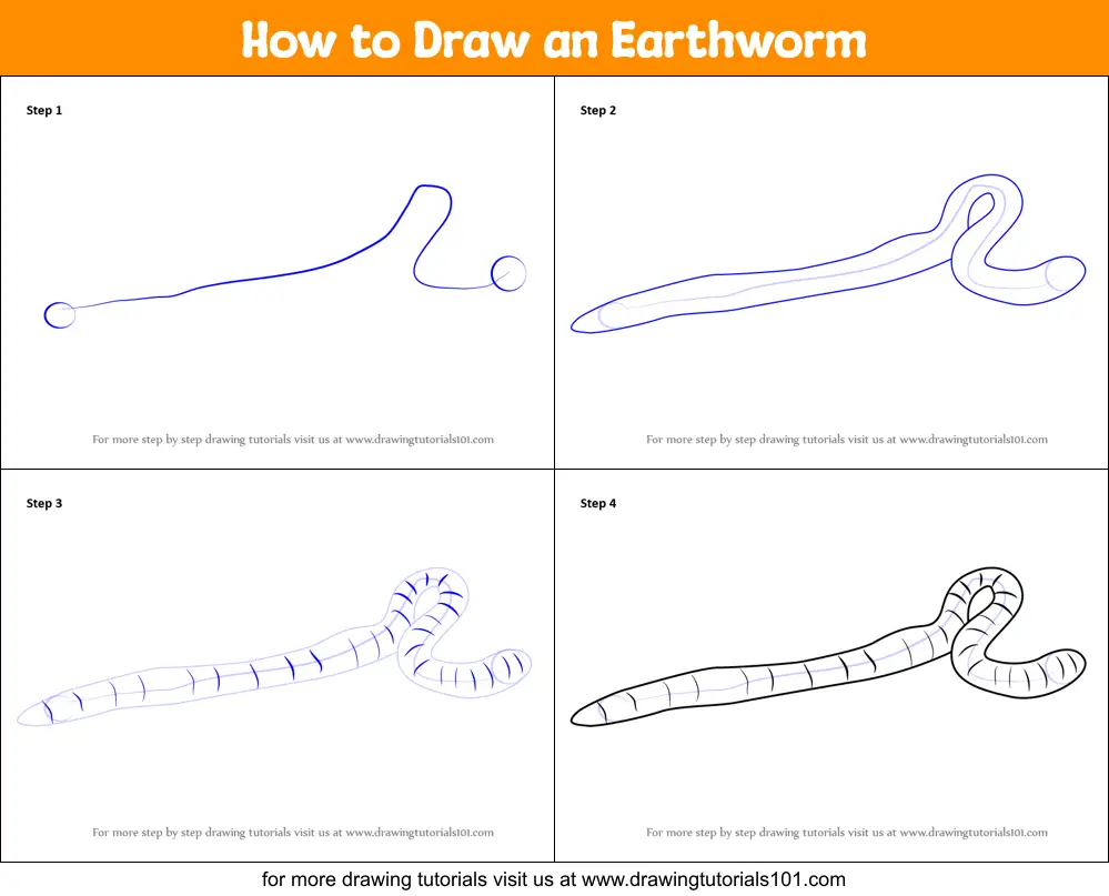 How to Draw an Earthworm printable step by step drawing sheet