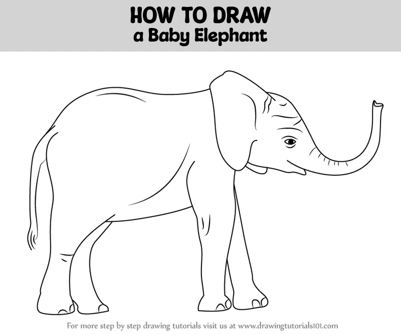 Drawing lesson for children. Drawing tutorial with elephant Step by step  repeats the picture. Kids activity art page for book. Vector illustration.  22356792 Vector Art at Vecteezy
