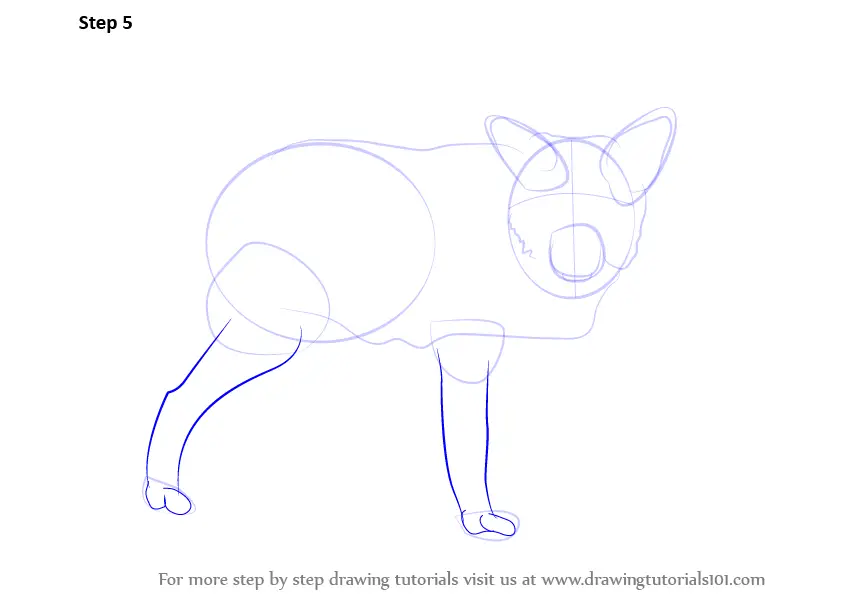 How to Draw a Wolf (Zoo Animals) Step by Step | DrawingTutorials101.com