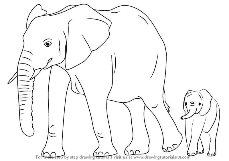 Elephant Drawing & Sketches for Kids - Kids Art & Craft