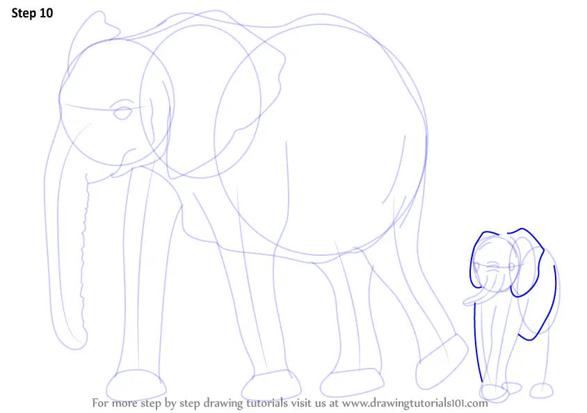 Step by Step How to Draw an Elephant Family