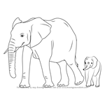 How to Draw an Elephant Family