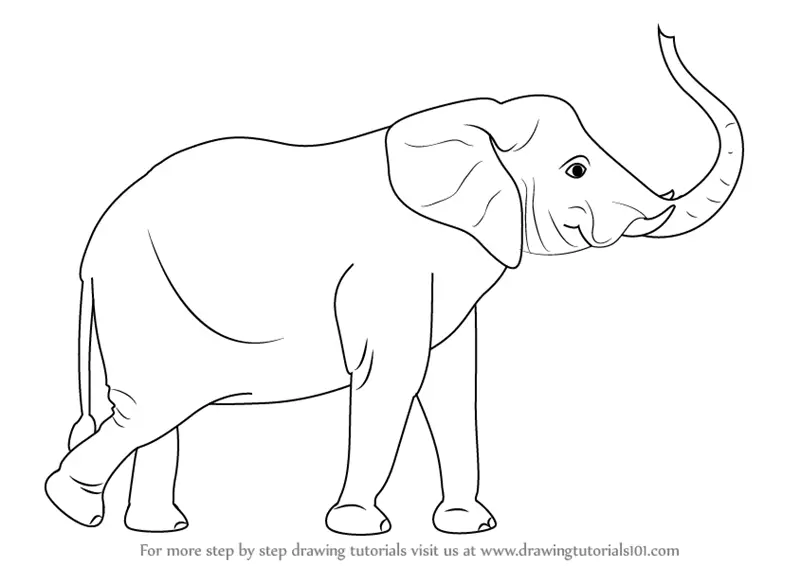 How to Draw an Elephant with its Trunk Up (Zoo Animals) Step by Step