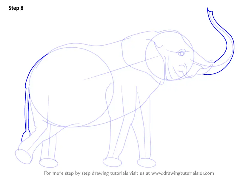 Step by Step How to Draw an Elephant with its Trunk Up