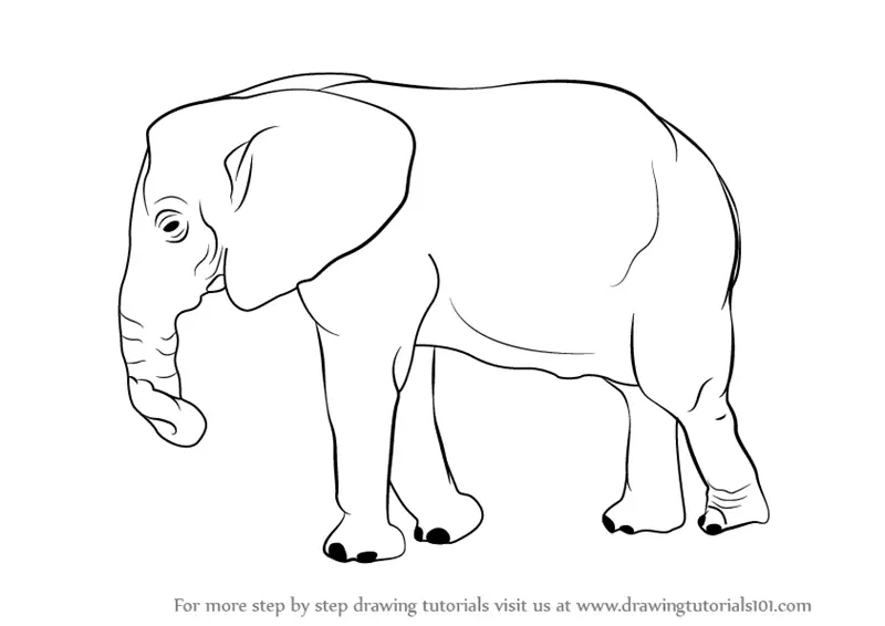Drawing of a baby elephant on a white background  Stock Illustration  84189129  PIXTA