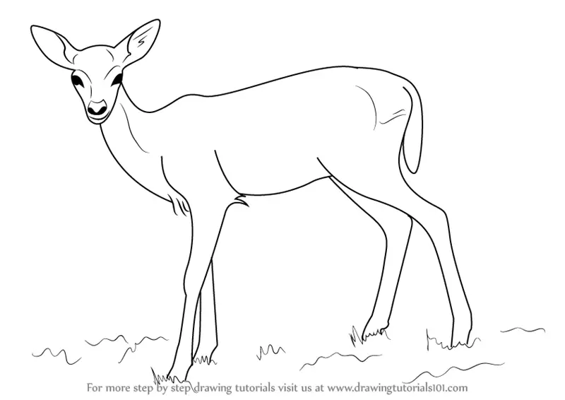 Easy-to-color drawing of a deer - Deers Kids Coloring Pages