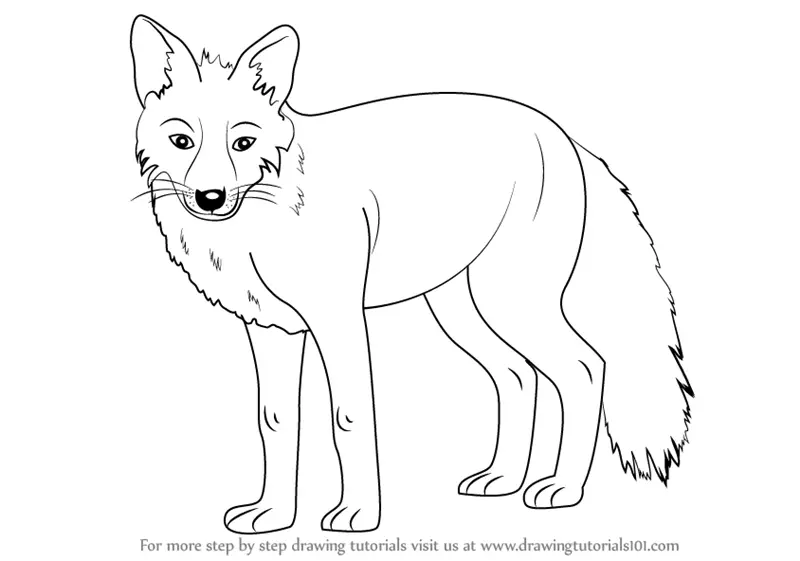 fox drawing easy