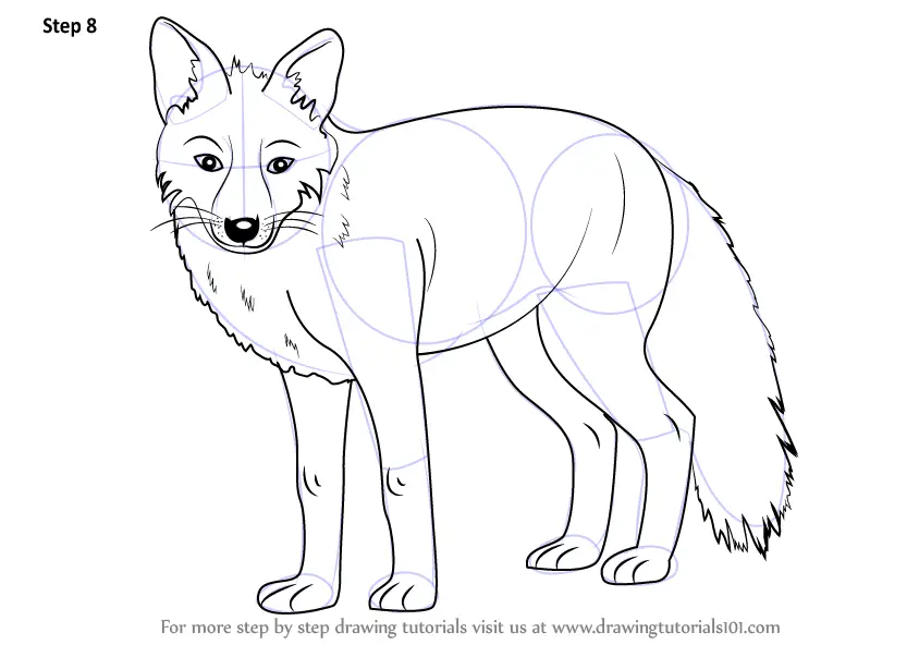 Learn How to Draw a Fox (Zoo Animals) Step by Step ...
