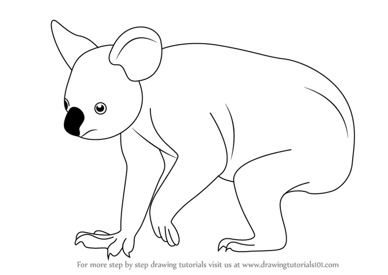 How To Draw a Koala  Sketch Tutorial 