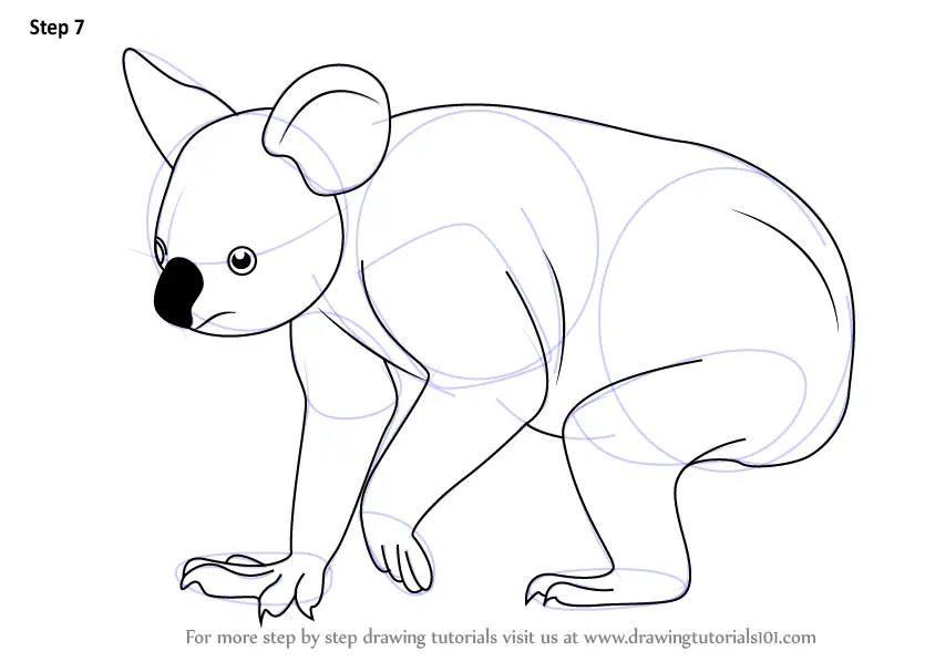 Step by Step How to Draw a Koala