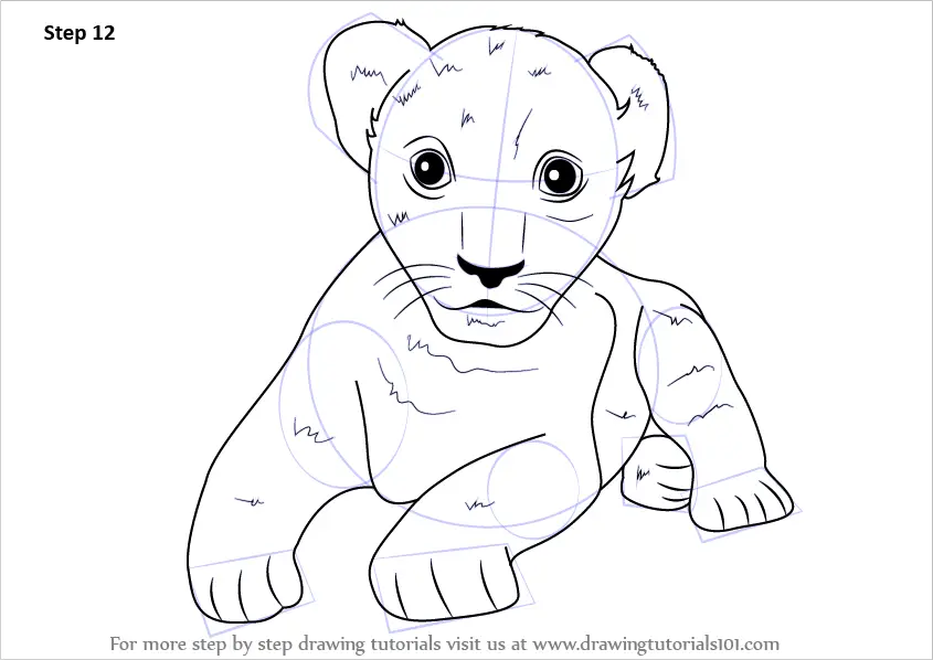How to Draw a Lion Cub (Zoo Animals) Step by Step