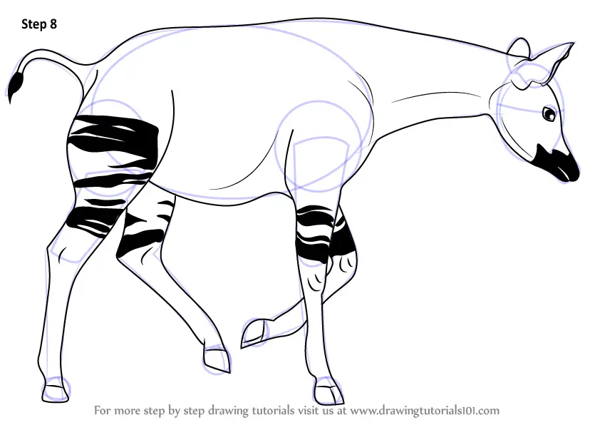 How to Draw a Okapi (Zoo Animals) Step by Step