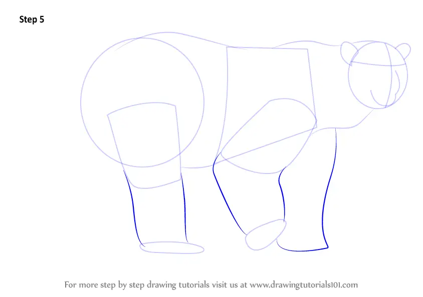 How to Draw a Polar Bear (Zoo Animals) Step by Step ...