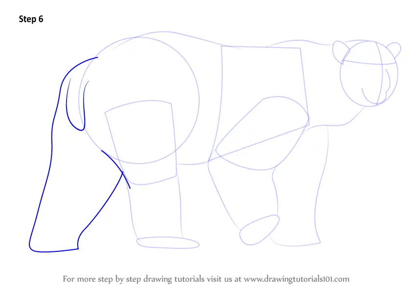 Learn How to Draw a Polar Bear (Zoo Animals) Step by Step : Drawing ...