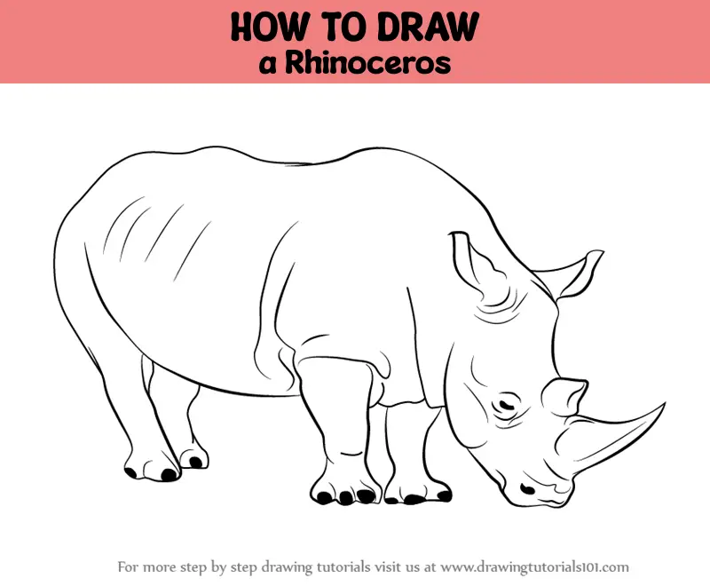 How to Draw a Rhinoceros | SketchBookNation.com