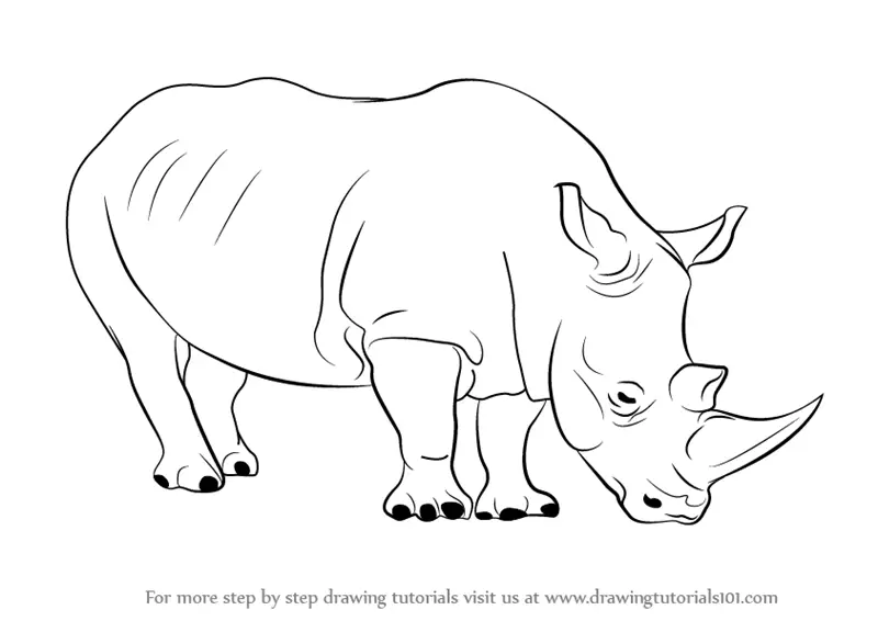 How to Draw a Rhinoceros (Zoo Animals) Step by Step