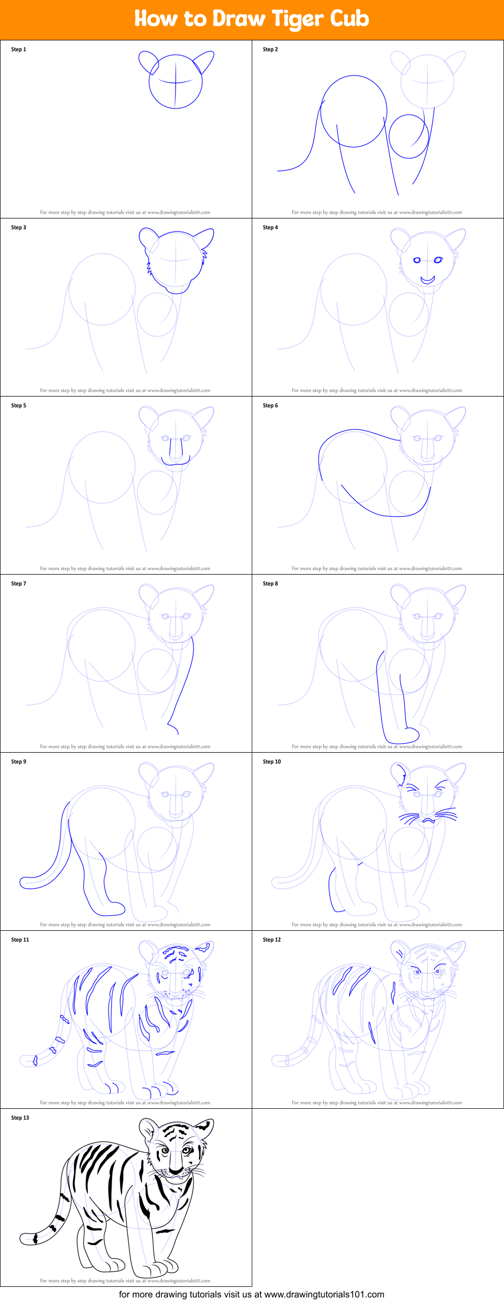 How to Draw Tiger Cub printable step by step drawing sheet