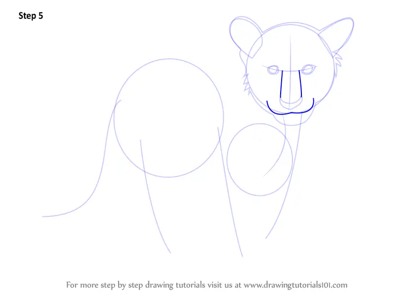 to how make drawing zoo to Cub Step How Draw by Step (Zoo Animals) Learn Tiger