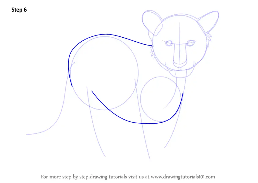 Learn How to Draw Tiger Cub (Zoo Animals) Step by Step : Drawing Tutorials