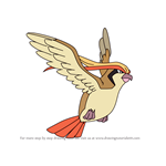 How to Draw Pidgeot from Pokemon