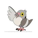 How to Draw Pidove from Pokemon
