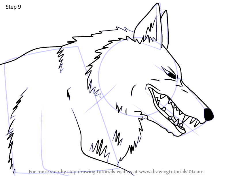 How to Draw Moro from Princess Mononoke (Princess Mononoke) Step by ...