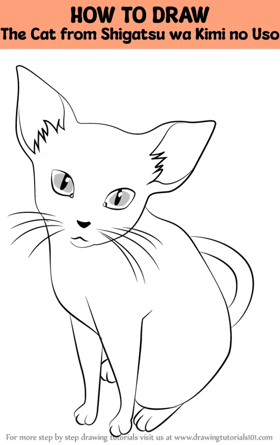 kimi on X: how to draw hello kitty!  / X