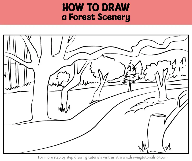 How To Draw Trees For Kids, Step by Step, Drawing Guide, by Dawn - DragoArt