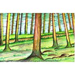 How to Draw Forest Trees