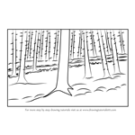 How to Draw Forest Trees