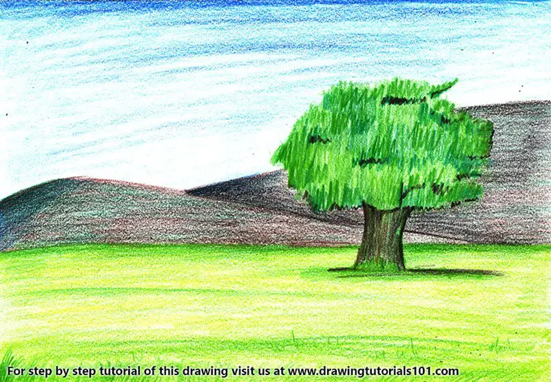 Tree Landscape Colored Pencils Drawing Tree Landscape With Color