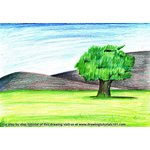 How to Draw a Tree Landscape