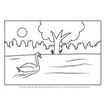 How to Draw Swan on a Lake