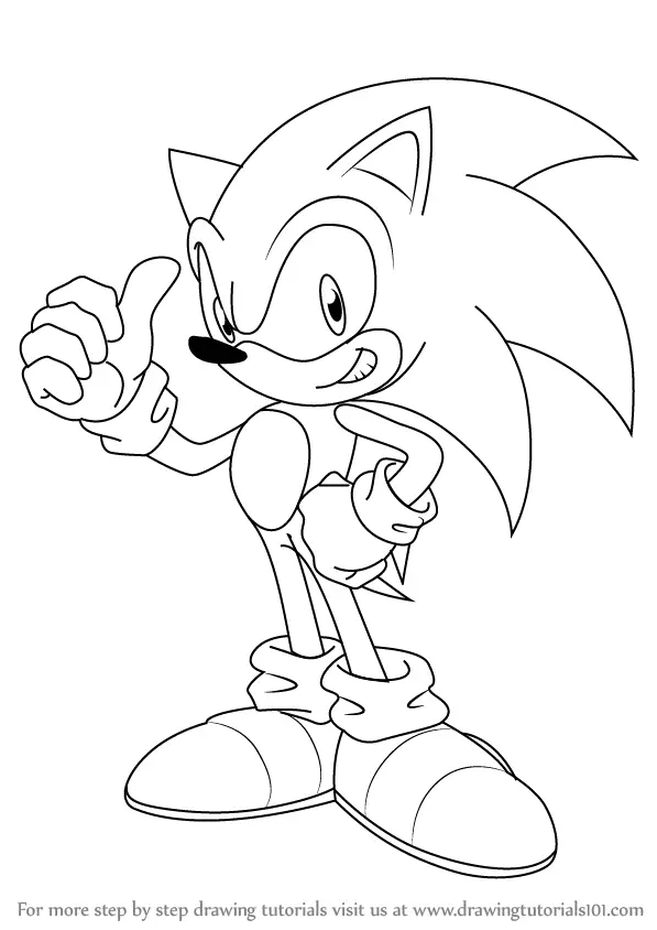 Learn How to Draw Sonic (Sonic the Hedgehog) Step by Step : Drawing ...
