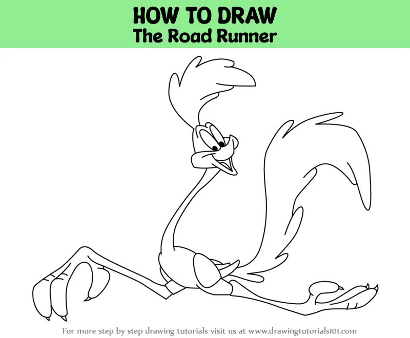 How to Draw The Road Runner (The Road Runner) Step by Step