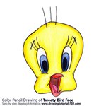 How to Draw Tweety Bird Face