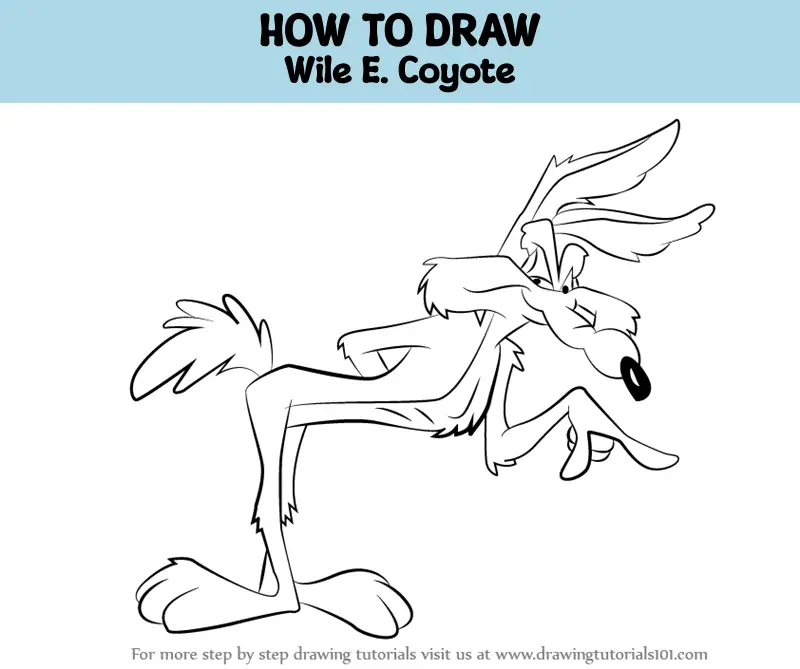 How to Draw Wile E. Coyote (Wile E. Coyote) Step by Step