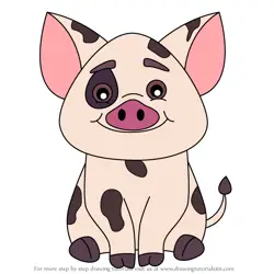 How to Draw Pua from Moana 2