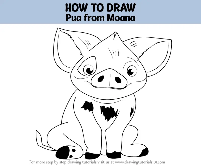 How to Draw Pua from Moana (Moana) Step by Step | DrawingTutorials101.com