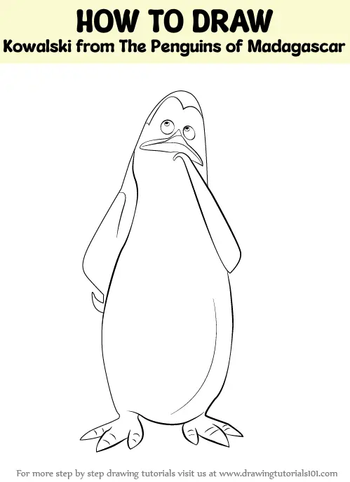 How To Draw Kowalski From The Penguins Of Madagascar The Penguins Of Madagascar Step By Step 0445