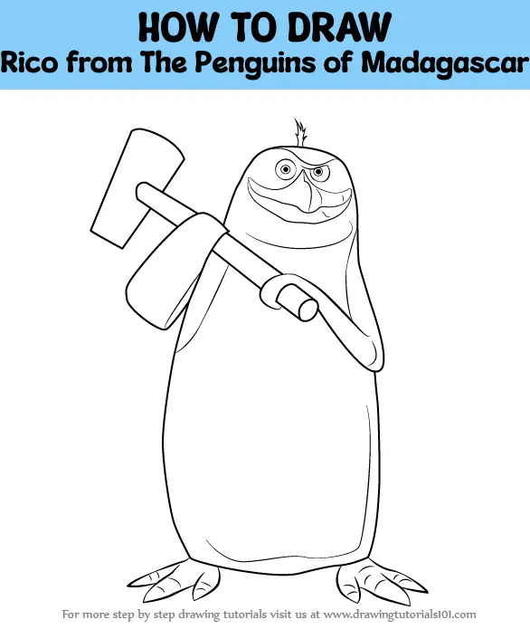 How To Draw Rico From The Penguins Of Madagascar The Penguins Of Madagascar Step By Step 0886