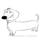 How to Draw Buddy from The Secret Life of Pets