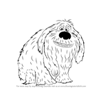 How to Draw Duke from The Secret Life of Pets